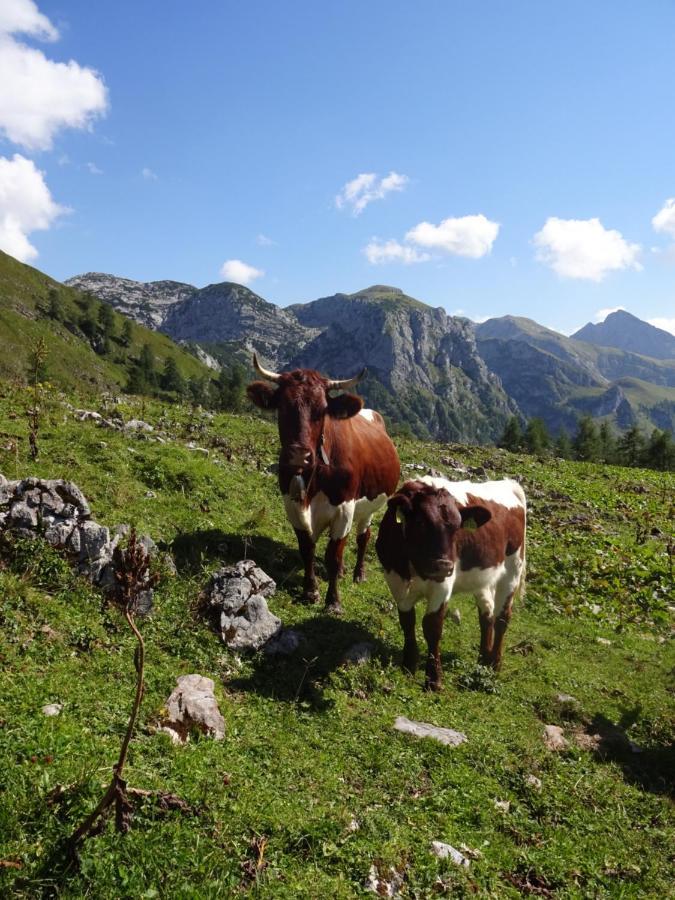 Malterlehen-Berchtesgadenアパートメント エクステリア 写真